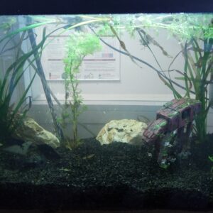 Distributeur automatique de nourriture pour poisson d&rsquo;aquarium Opensource